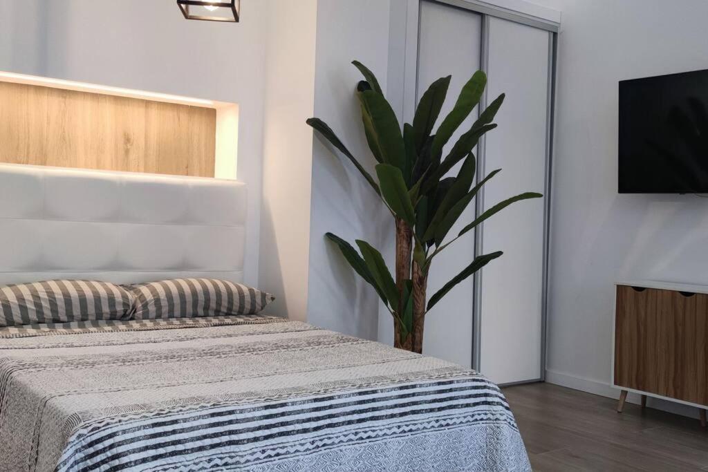 Estudio Diseno Cerca Ciudad Ciencias Vt-55211-V Valensiya Dış mekan fotoğraf
